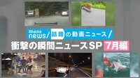 衝撃の瞬間ニュースSP 7月編