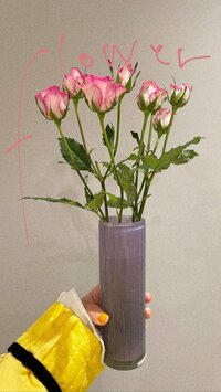 高橋愛『おはなのある暮らし』