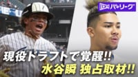 【映像】現役ドラフトで覚醒 日本ハム・水谷瞬選手 独占取材
