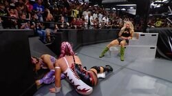 「野蛮すぎる」女子レスラーの“壁ドン”でバリケードが崩壊…衝撃タックルに味方も観客も「ドン引き」の一部始終