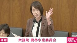 れいわ・八幡議員「有馬記念が盛り上がって、誰かがその裏で泣く。うちのお父さんもひどかった。ギャンブルで一家離散してる」 鈴木大臣「私も負けて涙を流した」 競馬と農水省について議論