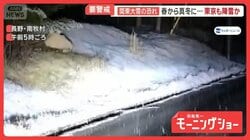 春から真冬に…東京も降雪か　関東大雪の恐れで要警戒　先週「春一番」吹くも天気一転