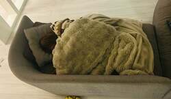 ココリコ遠藤の妻、インフルエンザでダウン「家事、子供たちの世話ぜーんぶやってくれた」