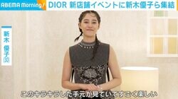 新木優子、“甲冑ドレス”で魅せる圧巻スタイル DIOR新店舗で華麗なファッション披露
