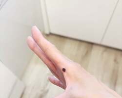  高橋真麻、手を負傷したことを報告「どうすることも出来ない…」 