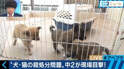 年間５万匹が炭酸ガスや麻酔薬で　人間の勝手な都合で殺処分されていく動物たち