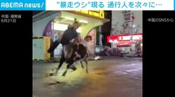街中で270kgのウシが“大暴走”→通行人を次々と突き飛ばす衝撃の瞬間 複数人けが 中国