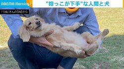 心を開いていない犬VS抱っこベタな人間 “抱き上げる瞬間”に「なぜこんなにも不恰好なんだ（笑）」とジワる人続出