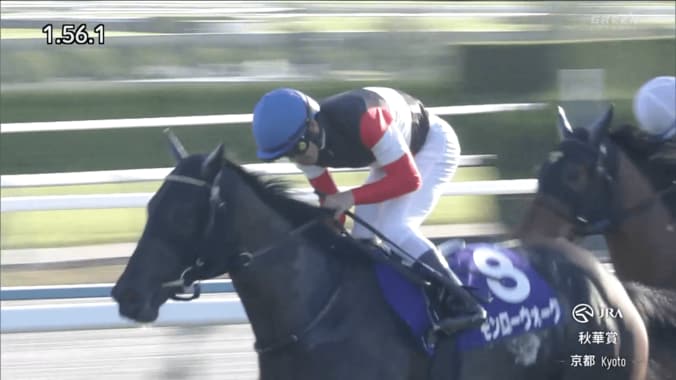 【映像】尻尾に注目！ “尾花栗毛”の美しい新馬