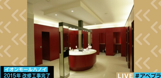 「トイレをおしゃれに」日本トイレ協会が唯一認めるデザイナー・小林純子さん、驚きのデザインの裏側 6枚目