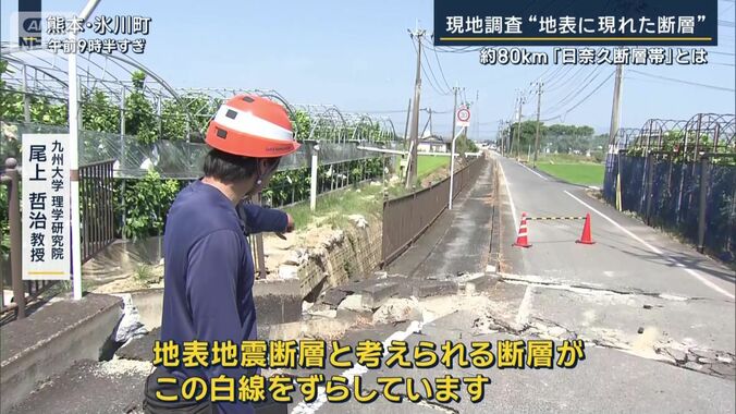 九州大学理学研究院　尾上哲治教授