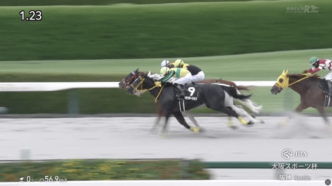 【映像】「凄い脚」白毛馬が“激走”思わず叫びたくなる好レース（実際の様子）