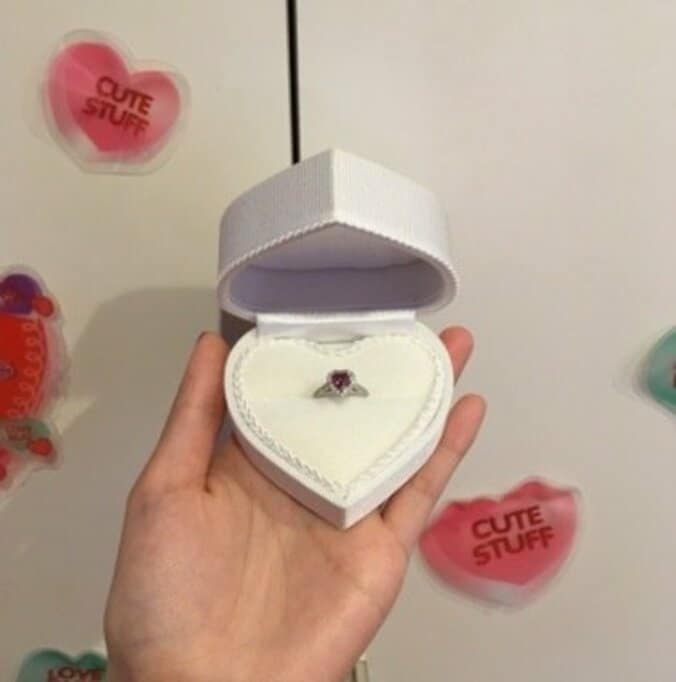 ぺこ、王子姿のりゅうちぇるに「涙が止まらんかった」　馬車を使ったプロポーズに反響 6枚目