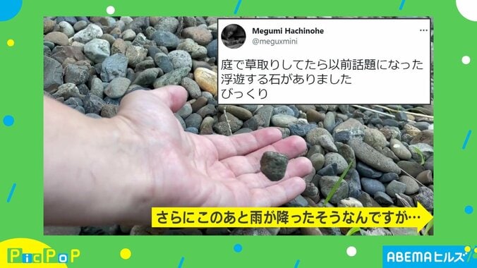 ひとりでにユラユラ… 庭に現れた“浮遊する石”に「CGじゃないのか!?」「見れば見るほど不思議…」と驚きの声 1枚目