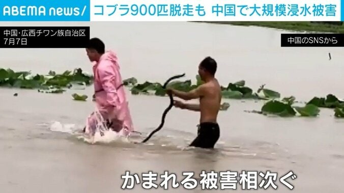 中国
