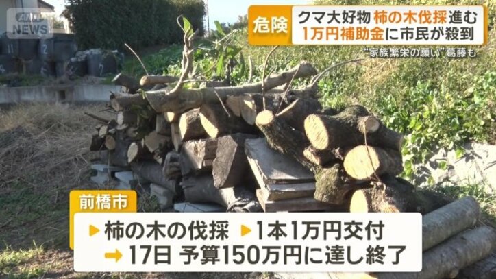 柿の木を伐採する人に1本あたり1万円を交付する事業