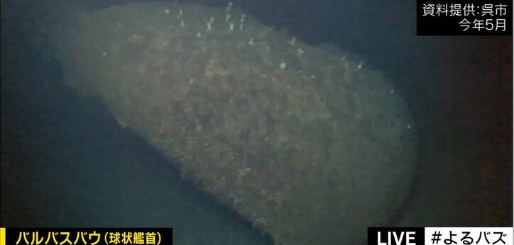 水深350mで眠る戦艦「大和」 ハイビジョン調査映像が公開