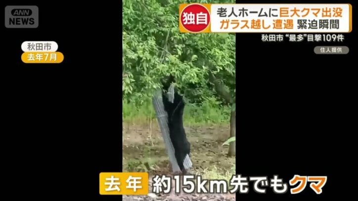 15キロほど離れた実家でも目撃