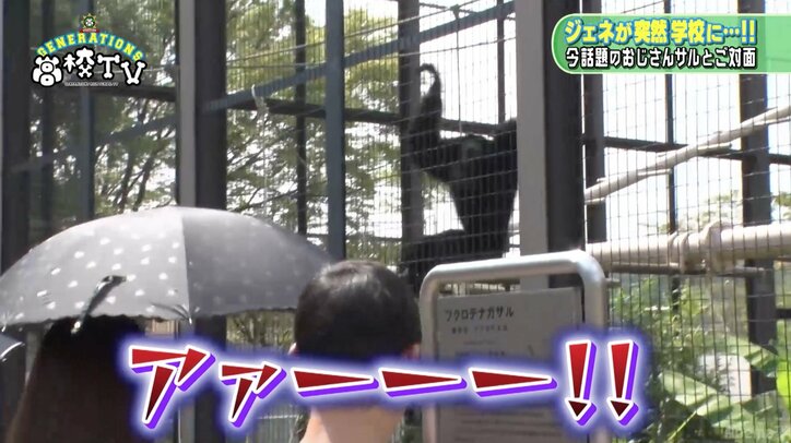 Generationsが動物園でデート 亜嵐 メンディーが動物ものまねを披露 Abematv 告知 Abema Times