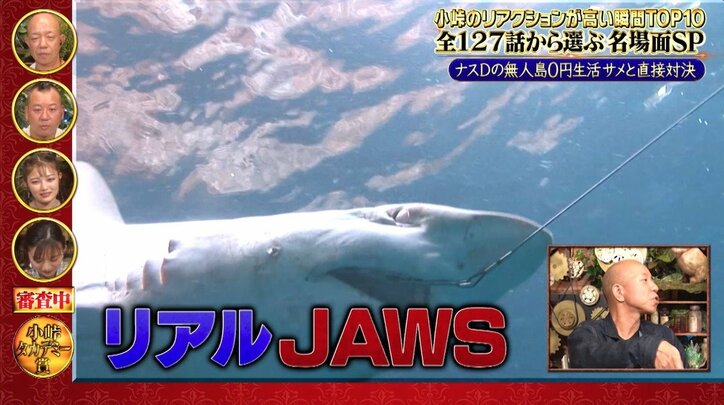 「サメ側が襲われるジョーズw」ナスDvsサメの衝撃映像に視聴者驚愕! バイきんぐ小峠「映画だよなぁ」