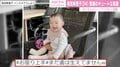 篠田麻里子、愛娘の顔出し写真に反響「まりちゃんにソックリ」「本当に天使」