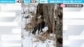 「初めて見た！」釧路の神社に現れた“黒いキツネ”が、SNSで驚きの声続々「30年住んでるけど見たことない」「何かいい年になりそう！」
