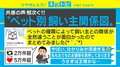 「猫は宗教」「亀は介護」ペットと飼い主との関係性を描いたイラストに共感相次ぐ