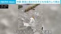 街中に押し寄せる激流…自転車ごと流される子どもをデリバリー配達員らが救出する瞬間 中国南部で大雨被害拡大