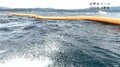 “他人任せ”の安全管理「猛省を」辺野古沖・転覆事故　調査委員会が会見