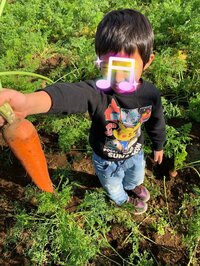 杉浦太陽『おまつり～』