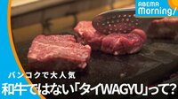 和牛ではない「タイWAGYU」とは