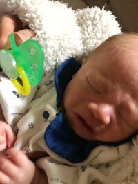 川島菜月『おしゃぶりの結果』