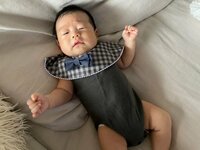 桃『たろが産まれてから1番後悔してること』