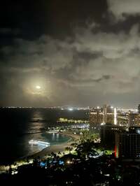 キャシー中島『東京に帰ります』