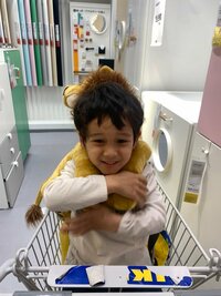 ラミレス美保『IKEAに行きました』