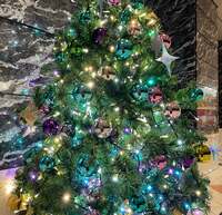 大島奈保美『乳がん検診の結果について』