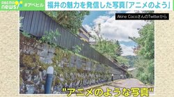 SNSで大反響の「アニメのよう」な田舎の写真、投稿者を直撃 ノスタルジーはなぜ心に響くのか臨床心理士が解説