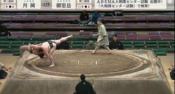 豪快な投げを決めた直後にイテテの表情……力士の悶絶顔に「うわ」「腰やっちゃったか？」心配の声