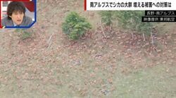 南アルプスを上空から撮影→あたり一面がシカの群れ…79億円の深刻な農作物被害も捕獲が難しいワケ