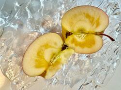  古村比呂、歯茎から血が出そうな違和感「抗がん剤治療の影響か?!」 