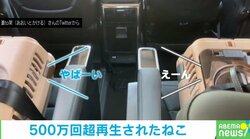 予防注射に向かう車内で何度も「ヤバ～い！」と鳴く2匹の猫 中毒性のある“悲鳴”に500万人が「本当に聞こえる！」「何回も見ちゃうｗ」と笑顔