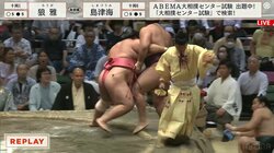 行司が土俵から落ちちゃった！力士と激突も軽快ジャンプで土俵下着地ピタリ「銀治郎さんすごい！！」