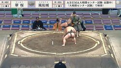 長身力士が驚異の身体能力を発揮！ 予想外の側転に行司びっくり「おぉ！」館内どよめき