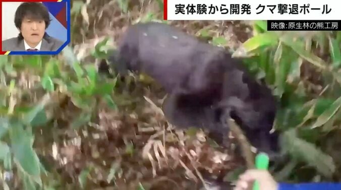 提供：原生林の熊工房