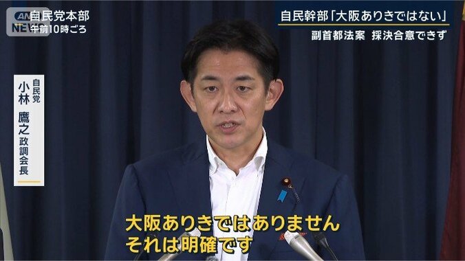 自民党　小林鷹之政調会長