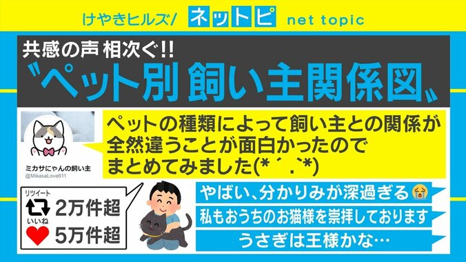 「猫は宗教」「亀は介護」ペットと飼い主との関係性を描いたイラストに共感相次ぐ 1枚目