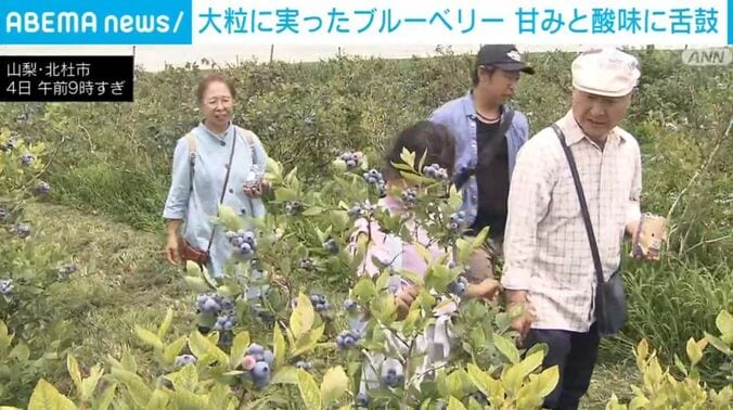山梨・北杜市