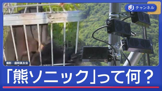 “音のバリアー”でクマが逃げる？新対策「熊ソニック」の実力 1枚目