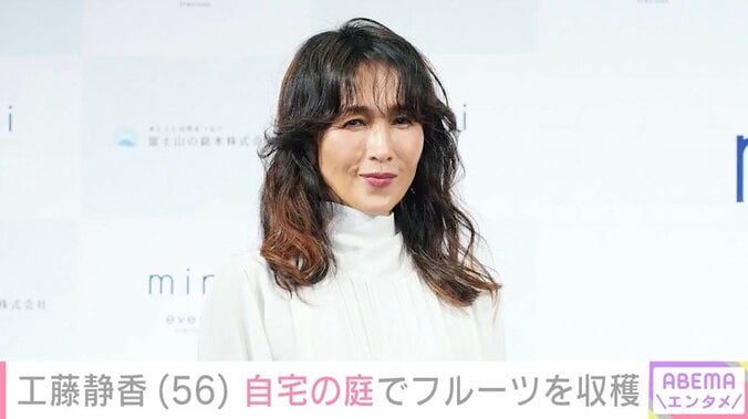 【写真・画像】工藤静香（56）、広々とした自宅の庭でフルーツを収穫｢お庭にも愛情たっぷり｣｢ステキすぎます｣などの反響　1枚目
