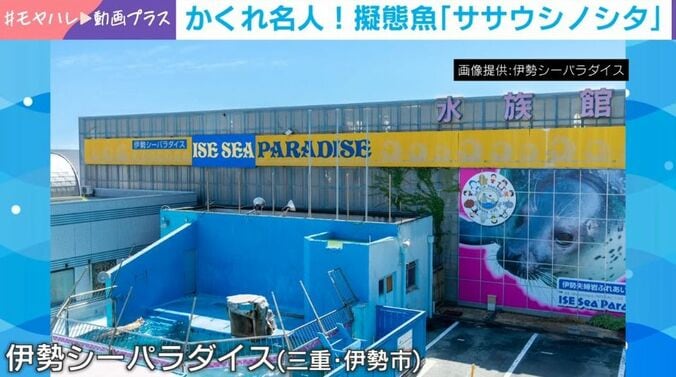 伊勢シーパラダイス